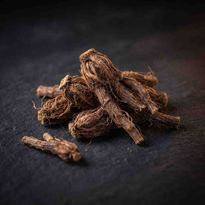 Jatamansi Root