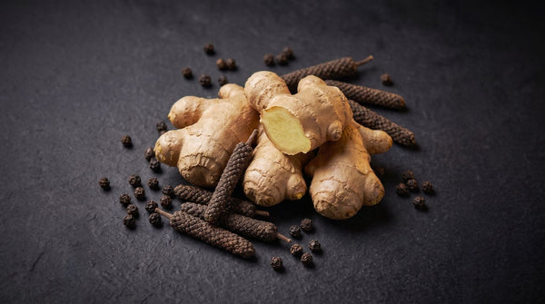 Absorption & Bioavailability