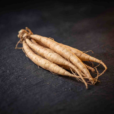 Shatavari Root